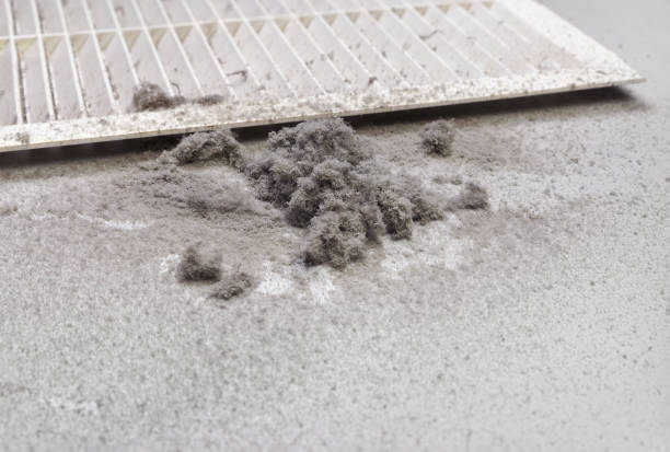 Best General Air Duct Cleaning  in Ames Lake, WA