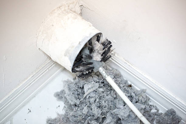 Best Best Air Duct Cleaning Company  in Ames Lake, WA